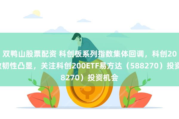 双鸭山股票配资 科创板系列指数集体回调，科创200指数韧性凸显，关注科创200ETF易方达（588270）投资机会