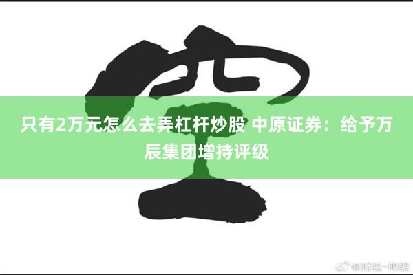 只有2万元怎么去弄杠杆炒股 中原证券：给予万辰集团增持评级