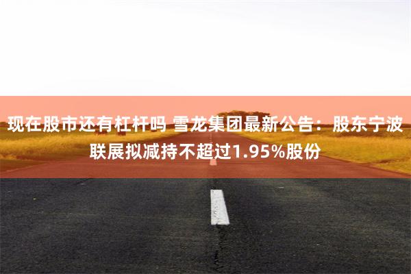 现在股市还有杠杆吗 雪龙集团最新公告：股东宁波联展拟减持不超过1.95%股份
