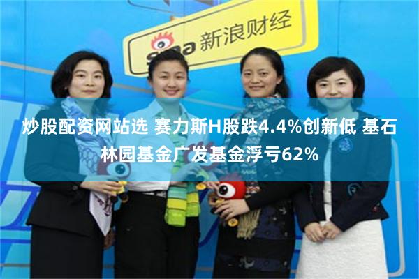 炒股配资网站选 赛力斯H股跌4.4%创新低 基石林园基金广发基金浮亏62%