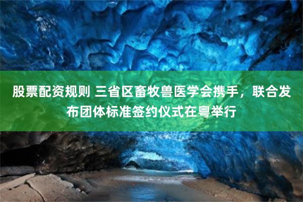股票配资规则 三省区畜牧兽医学会携手，联合发布团体标准签约仪式在粤举行