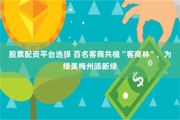股票配资平台选择 百名客商共植“客商林”，为绿美梅州添新绿