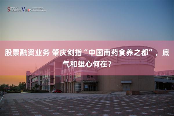 股票融资业务 肇庆剑指“中国南药食养之都”，底气和雄心何在？