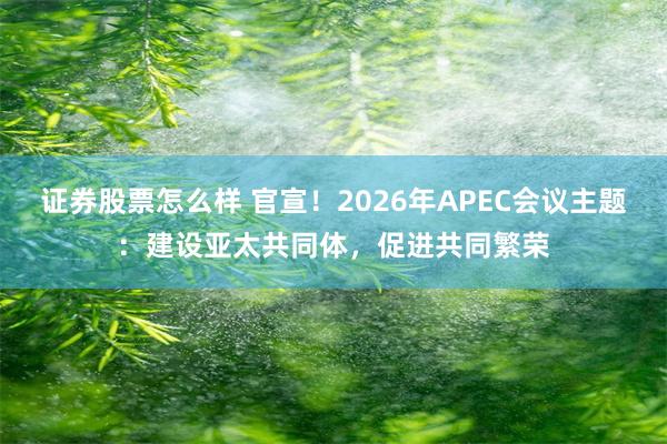 证券股票怎么样 官宣！2026年APEC会议主题：建设亚太共同体，促进共同繁荣