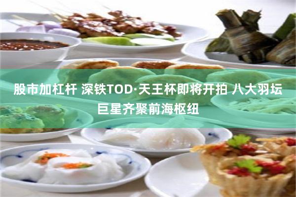 股市加杠杆 深铁TOD·天王杯即将开拍 八大羽坛巨星齐聚前海枢纽
