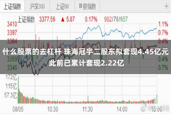 什么股票的去杠杆 珠海冠宇二股东拟套现4.45亿元 此前已累计套现2.22亿