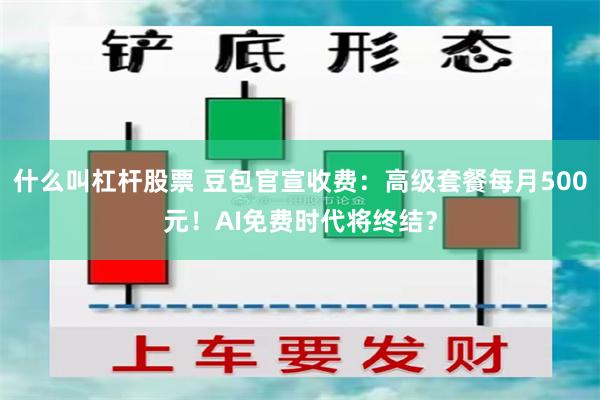 什么叫杠杆股票 豆包官宣收费：高级套餐每月500元！AI免费时代将终结？