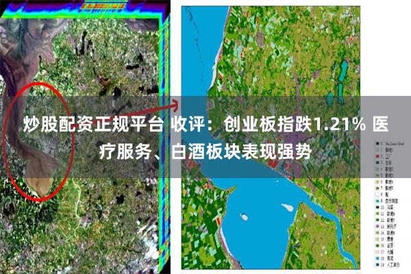 炒股配资正规平台 收评：创业板指跌1.21% 医疗服务、白酒板块表现强势