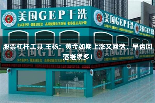 股票杠杆工具 王杨:黄金如期上涨又回落,早盘回落继续多!