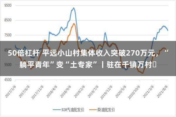 50倍杠杆 平远小山村集体收入突破270万元，“躺平青年”变“土专家”丨驻在千镇万村㊱