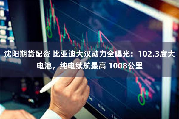 沈阳期货配资 比亚迪大汉动力全曝光：102.3度大电池，纯电续航最高 1008公里