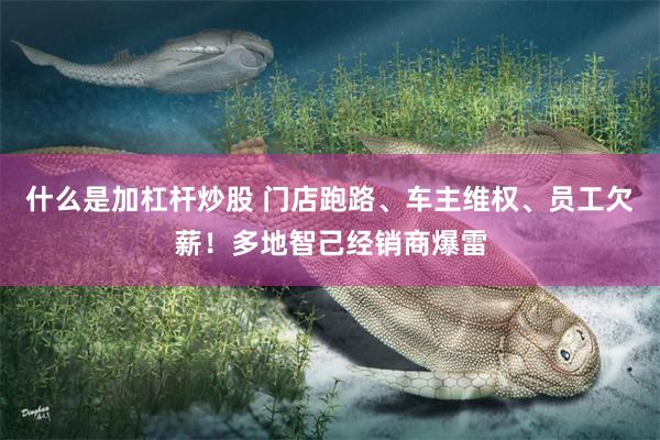 什么是加杠杆炒股 门店跑路、车主维权、员工欠薪！多地智己经销商爆雷