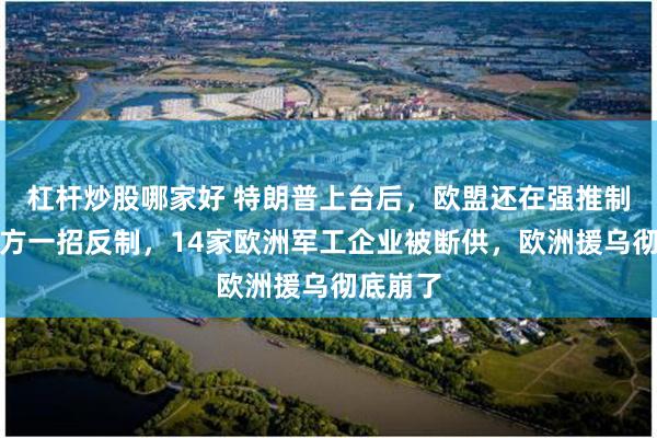 杠杆炒股哪家好 特朗普上台后，欧盟还在强推制裁，中方一招反制，14家欧洲军工企业被断供，欧洲援乌彻底崩了