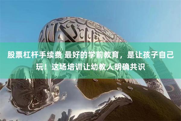 股票杠杆手续费 最好的学前教育，是让孩子自己玩！这场培训让幼教人明确共识