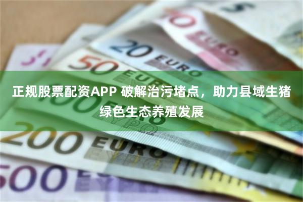 正规股票配资APP 破解治污堵点，助力县域生猪绿色生态养殖发展