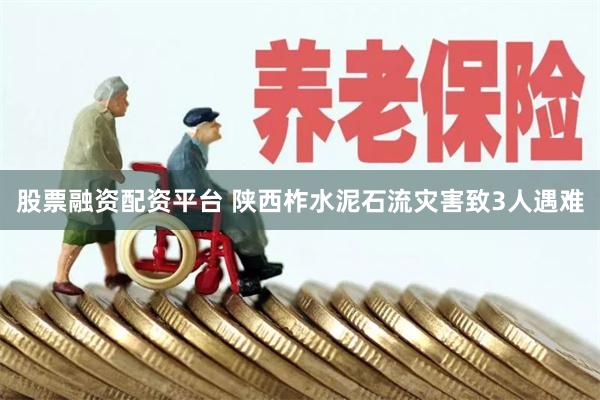 股票融资配资平台 陕西柞水泥石流灾害致3人遇难