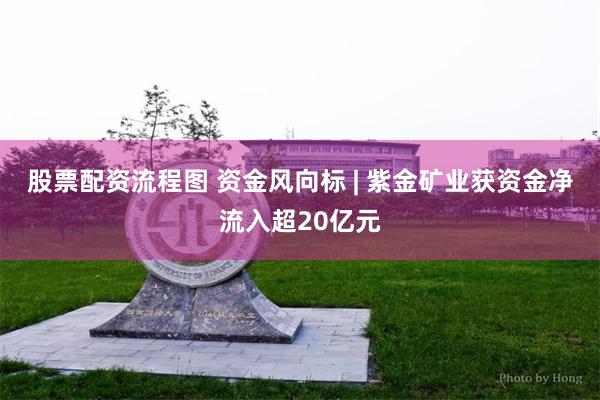 股票配资流程图 资金风向标 | 紫金矿业获资金净流入超20亿元