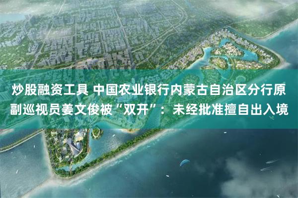炒股融资工具 中国农业银行内蒙古自治区分行原副巡视员姜文俊被“双开”：未经批准擅自出入境