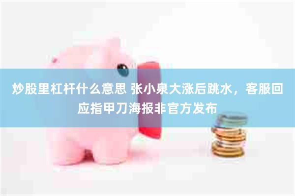 炒股里杠杆什么意思 张小泉大涨后跳水，客服回应指甲刀海报非官方发布