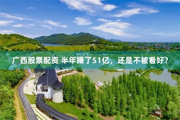 广西股票配资 半年赚了51亿，还是不被看好？