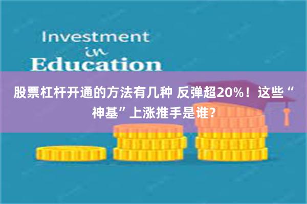 股票杠杆开通的方法有几种 反弹超20%！这些“神基”上涨推手是谁？