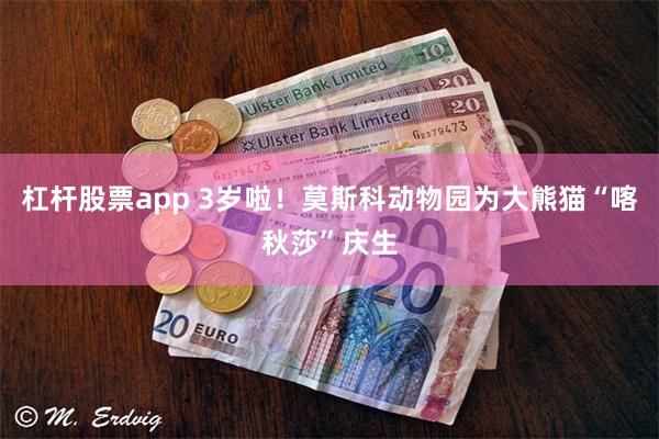 杠杆股票app 3岁啦！莫斯科动物园为大熊猫“喀秋莎”庆生
