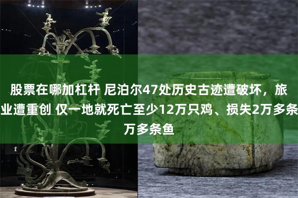 股票在哪加杠杆 尼泊尔47处历史古迹遭破坏，旅游业遭重创 仅一地就死亡至少12万只鸡、损失2万多条鱼