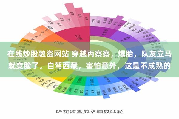 在线炒股融资网站 穿越丙察察，爆胎，队友立马就变脸了。自驾西藏，害怕意外，这是不成熟的