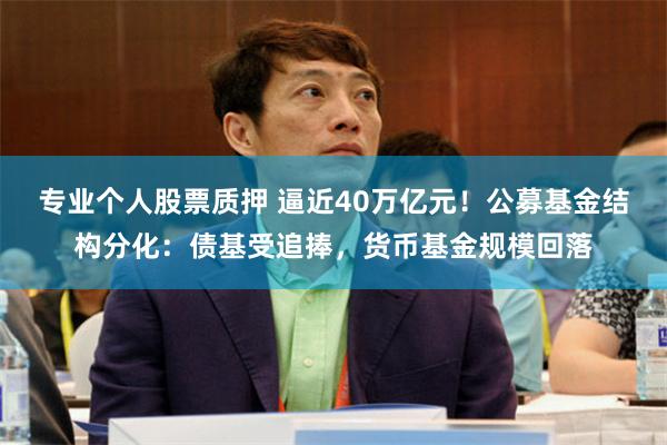 专业个人股票质押 逼近40万亿元！公募基金结构分化：债基受追捧，货币基金规模回落