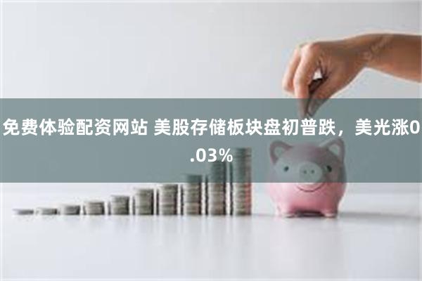 免费体验配资网站 美股存储板块盘初普跌，美光涨0.03%