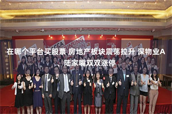 在哪个平台买股票 房地产板块震荡拉升 深物业A、陆家嘴双双涨停