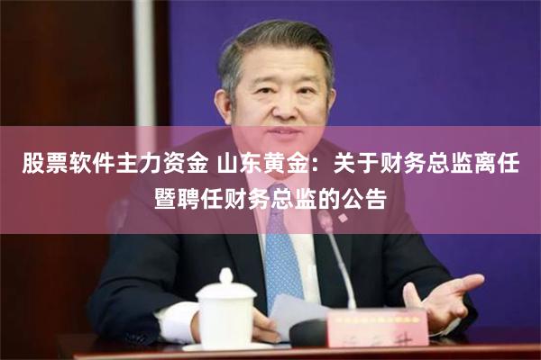 股票软件主力资金 山东黄金：关于财务总监离任暨聘任财务总监的公告