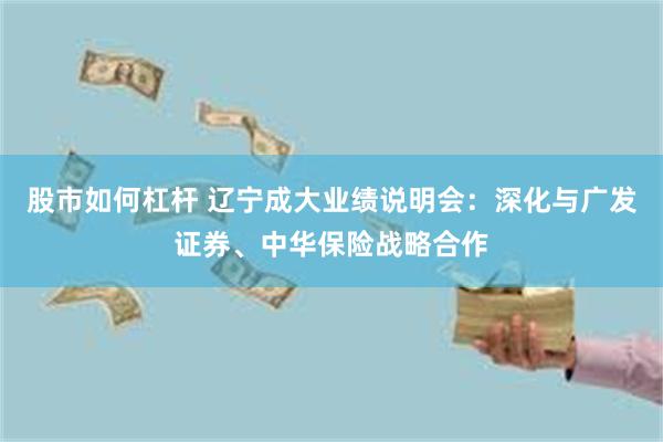股市如何杠杆 辽宁成大业绩说明会：深化与广发证券、中华保险战略合作