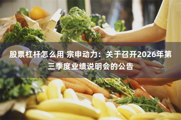 股票杠杆怎么用 宗申动力：关于召开2026年第三季度业绩说明会的公告